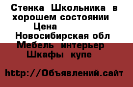 Стенка “Школьника” в хорошем состоянии › Цена ­ 10 000 - Новосибирская обл. Мебель, интерьер » Шкафы, купе   